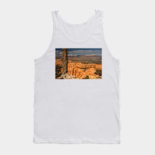 Trees Of Bryce - 2 © Tank Top
